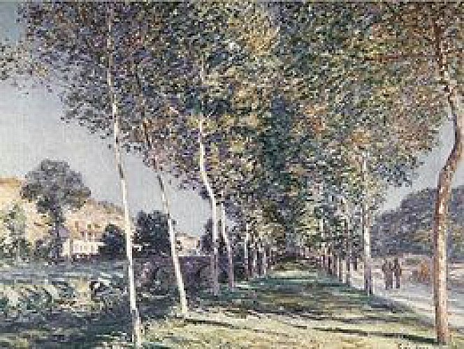 Allée de Peupliers aux environs de Moret, Alfred Sisley, 1892 Huile sur toile 60x73 cm - Musée Masséna, Nice