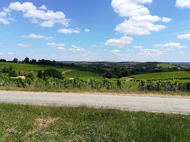 vue-sur-les-coteaux-bel-air