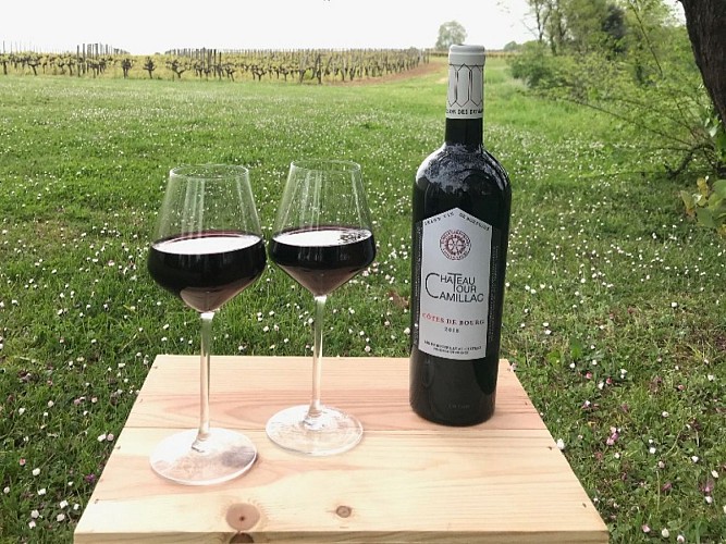 Chateau-Moulin-de-la-Marzelle-800x600-1