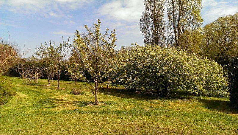 clesse-chambre-dhotes-aux-deux-chevres-jardin1