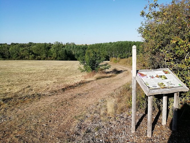 Photos-du-18-septembre--10-