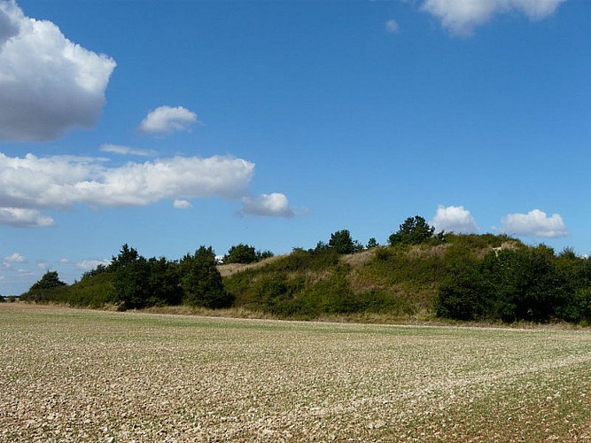 tumulus-assais
