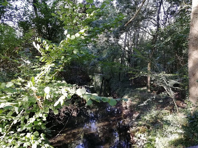 Photos-du-18-septembre--3-