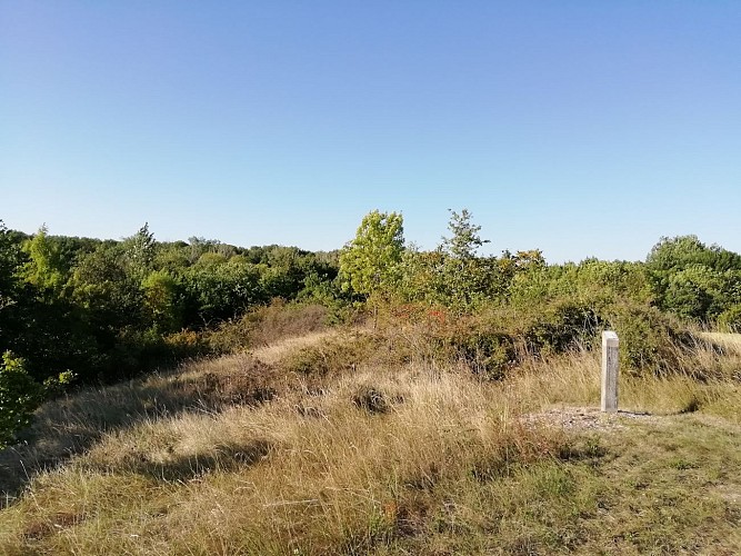 Photos-du-18-septembre--8-