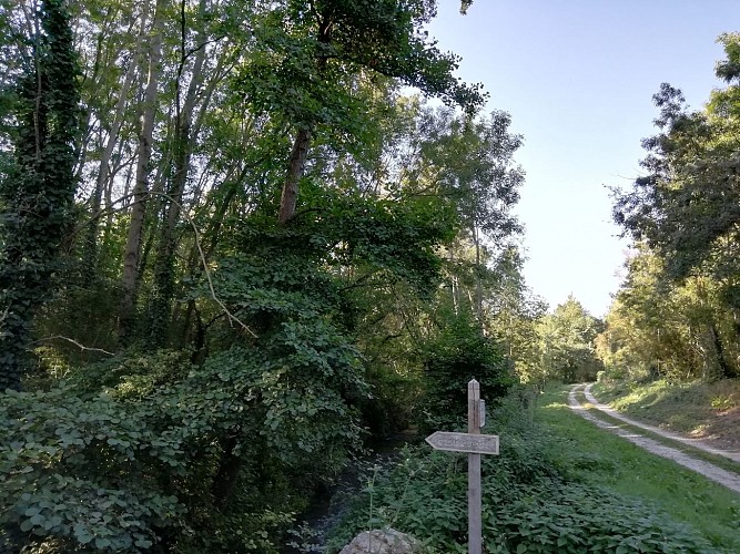 Photos-du-18-septembre--4-