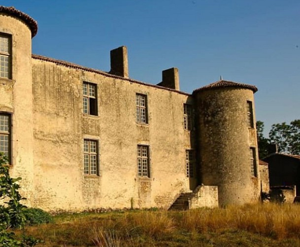 Chateau-de-Payre-La-Peyratte