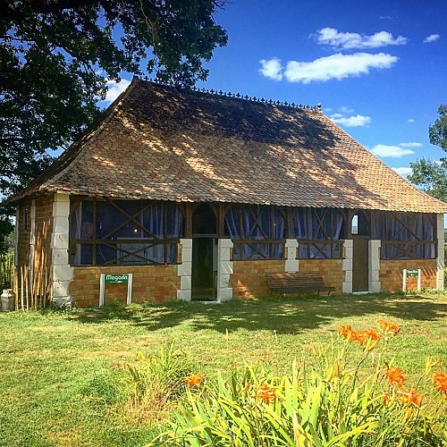 Pruneaux-Chateau-de-Born--4-