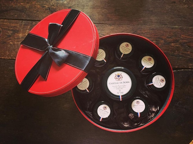 Pruneaux-Chateau-de-Born--5-