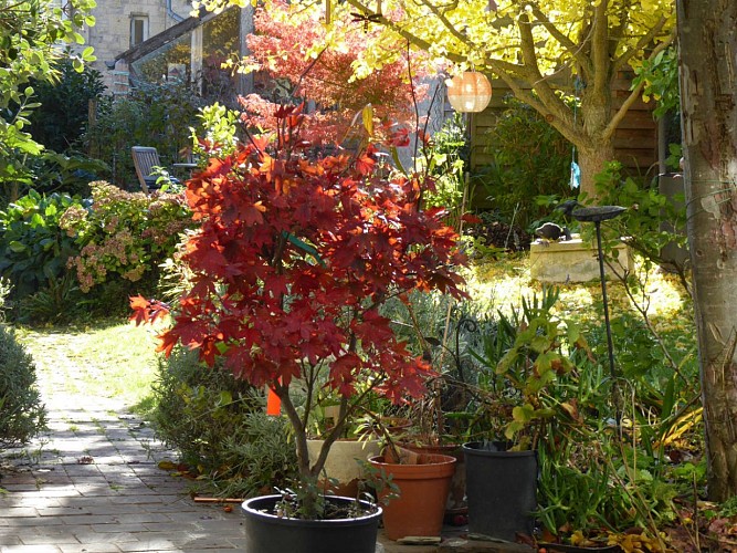 hurel-anne-relais-saint-gilles-jardin-1