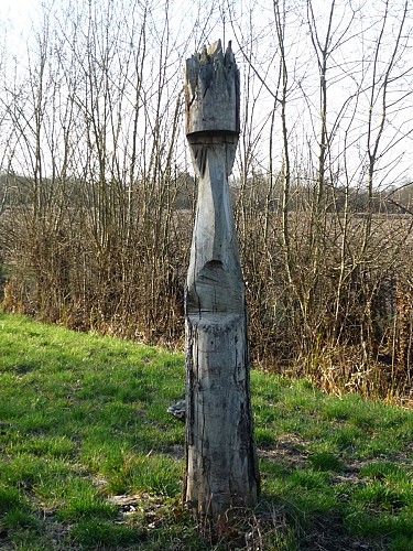 ARBRE-TOTEM--OTNMP---2017-