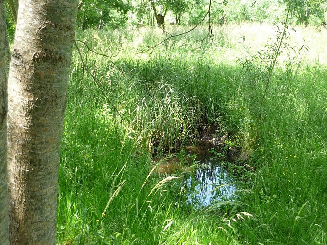 MARE-PEDAGOGIQUE--OTNMP---2012-