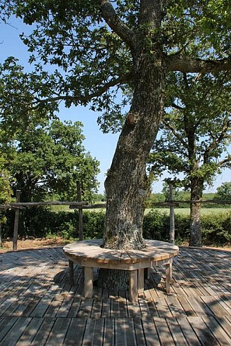 430174-cerizay-sentier-des-celtes-img-8458-2-2