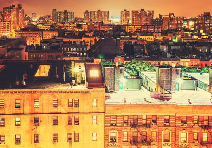 Visite guidée des 5 quartiers de New York : Harlem, le Bronx, le Queens, Brooklyn & Coney Island