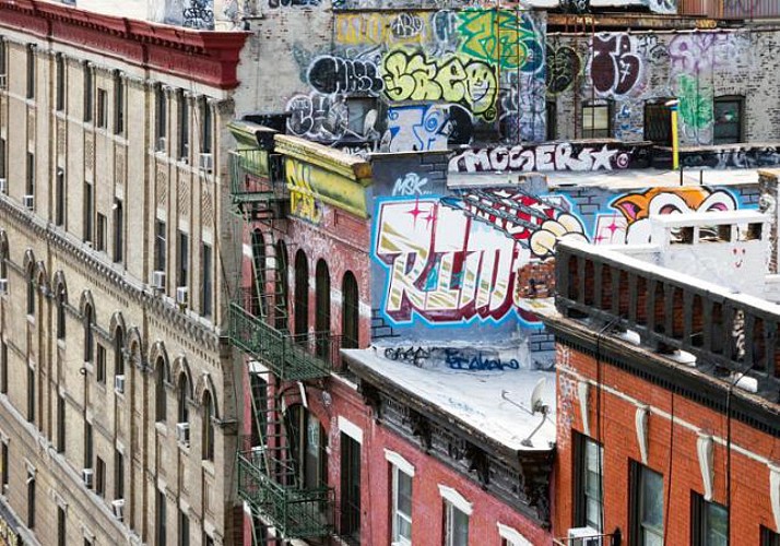 Visite guidée des 5 quartiers de New York : Harlem, le Bronx, le Queens, Brooklyn & Coney Island