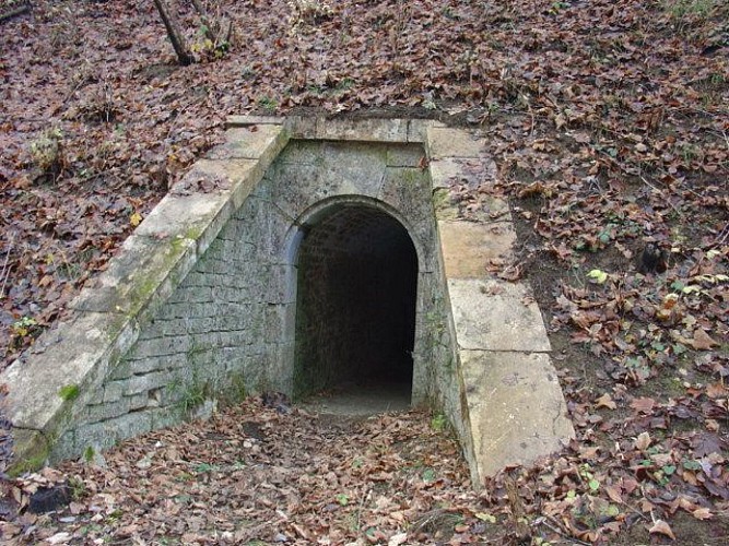 Fortifications : Le fort de la Pointe de Diamant