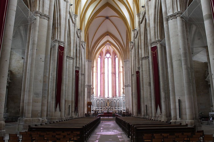 Cathédrale Saint-Etienne