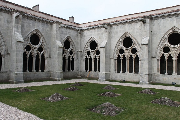 Cathédrale Saint-Etienne