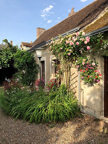 Coté jardin chambres d'hôtes pres de Vendôme ,village viticole ,Le Loir a velo 