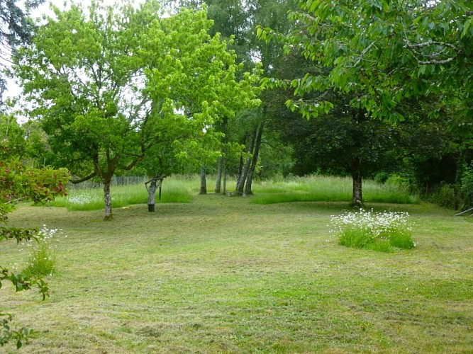 Chez-Mme-Java-jardin