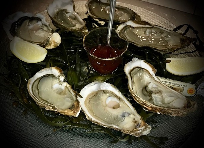 VILLEREAL-L-Hippocampe-5