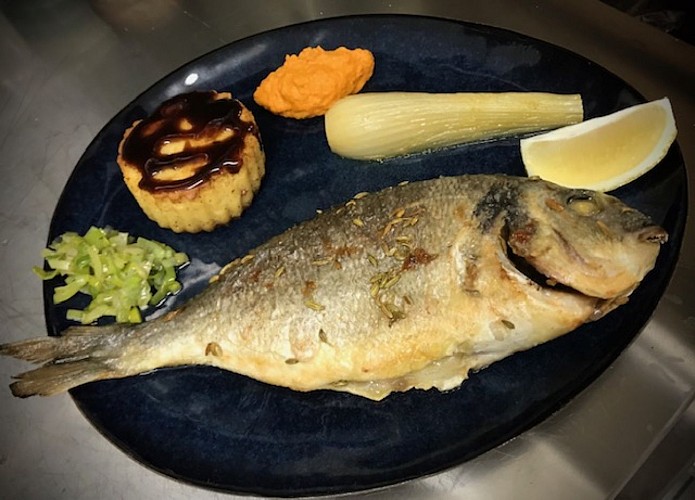 VILLEREAL-L-Hippocampe-6