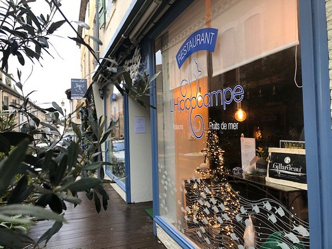 VILLEREAL-L-Hippocampe-8