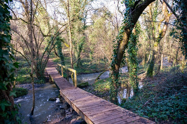 Vallee du pressoir patrimoine culturel ENS St Jacques Thouars Thouarsais