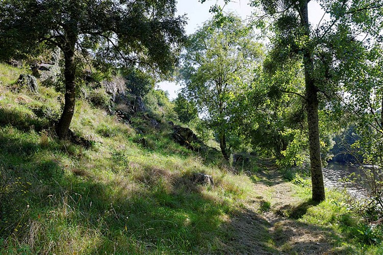 eboulis-de-massais--patrimoine-naturel-massais-thouarsais4