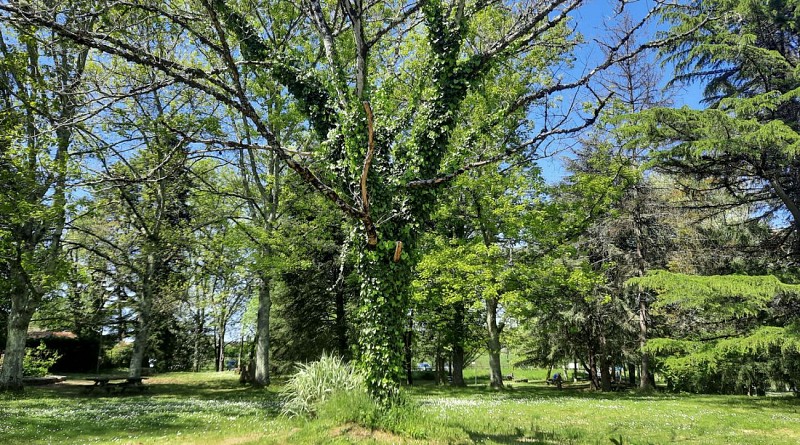 aire pique-nique parc voulgre mussidan tourisme vallee isle 2025 4 2