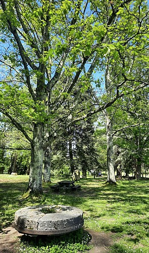 aire pique-nique parc voulgre mussidan patrimoine tourisme vallee isle 2025 2 2