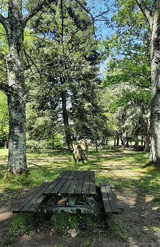 aire pique-nique parc voulgre mussidan tourisme vallee isle 2025 10