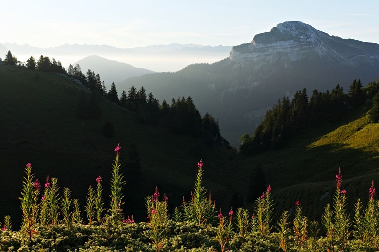 Belvedere of the Charmant Som
