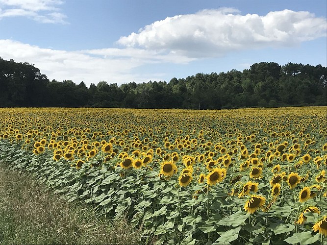 Gîte du Plat d'Étain