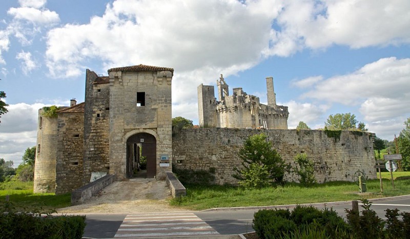 Chateau de Mareuil en Périgord