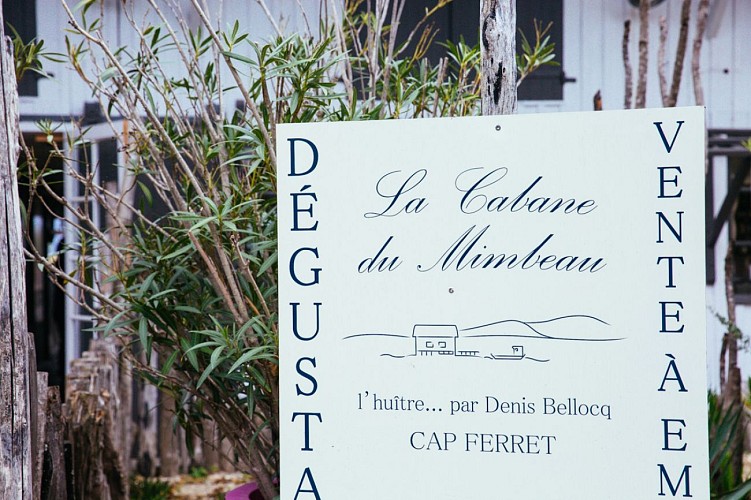 cap-ferret-automne-7