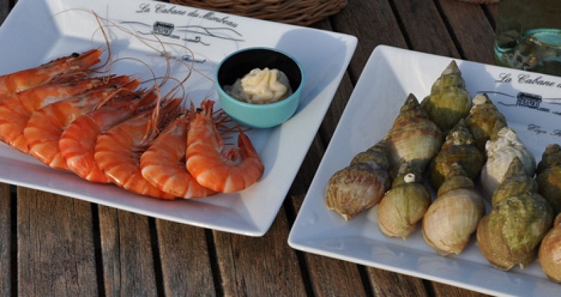 Cabane_du_Mimbeau_ (4)