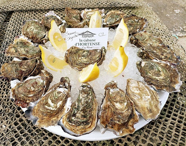 0a1b429375740740fc2d7f03e66a2f46