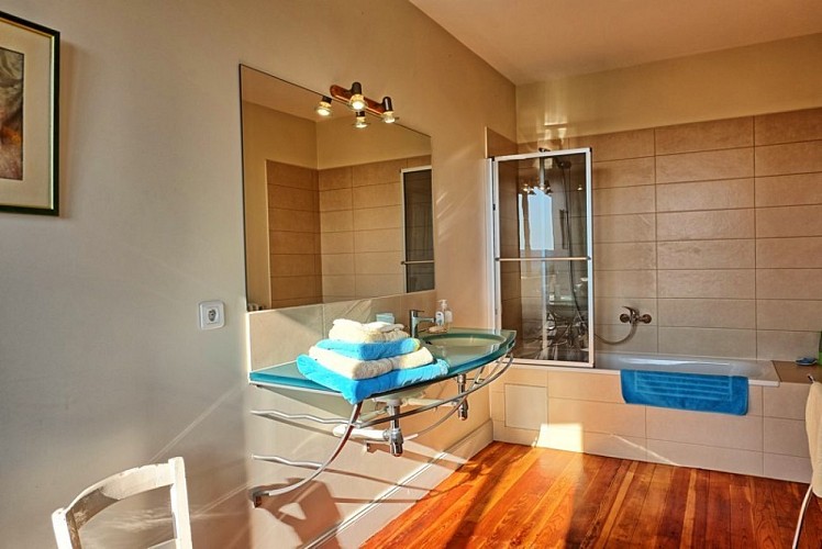 Logis-du-Chateau-de-Poudenas-15