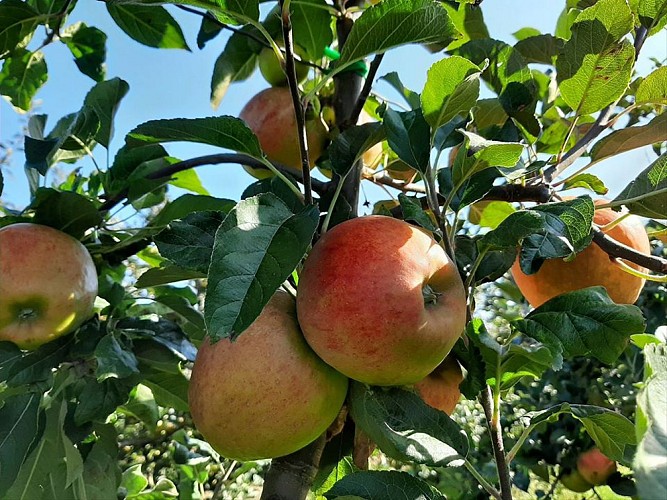 LES DELICES DE LA RIGAUDAIS