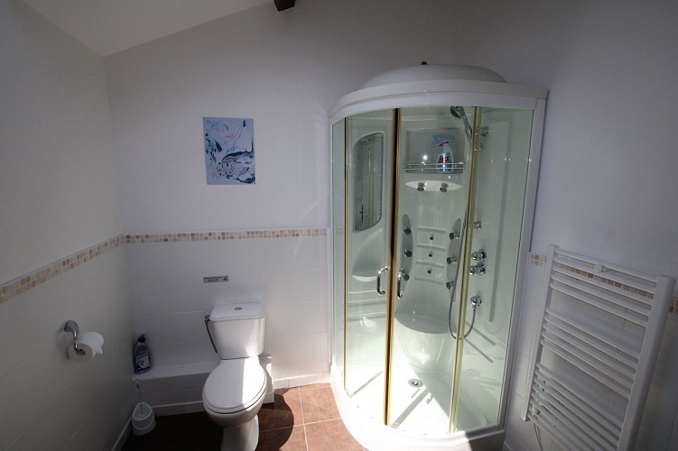 neuvy-bouin-gite-bonniniere-rose-chambre2-douche