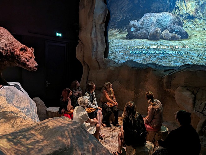 Musée de l'ours des cavernes