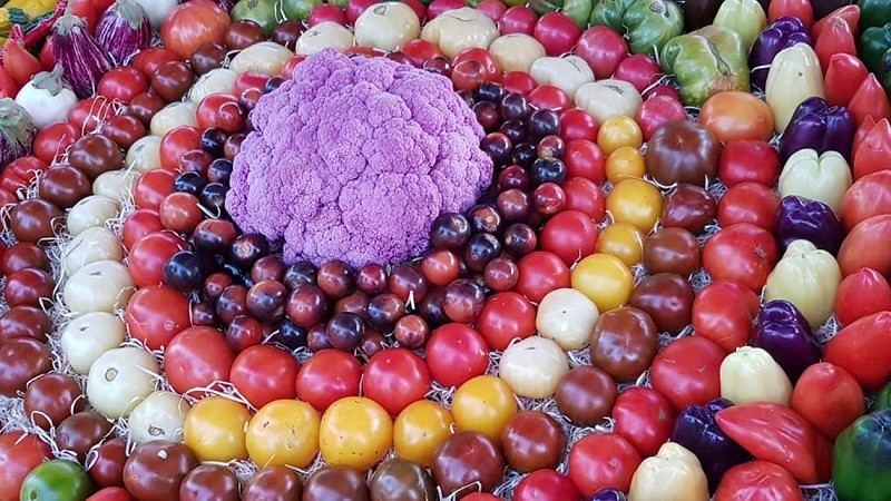 jardin-puymasson-mise-en-place