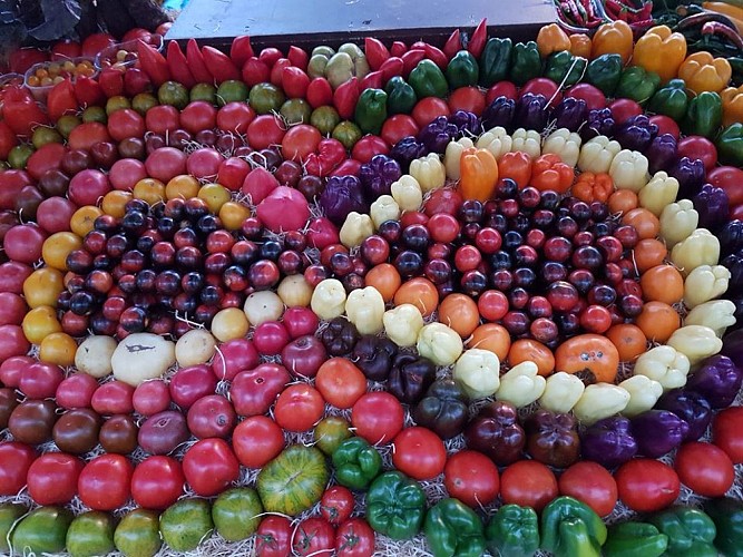 jardin-de-puymasson-mise-en-place-3