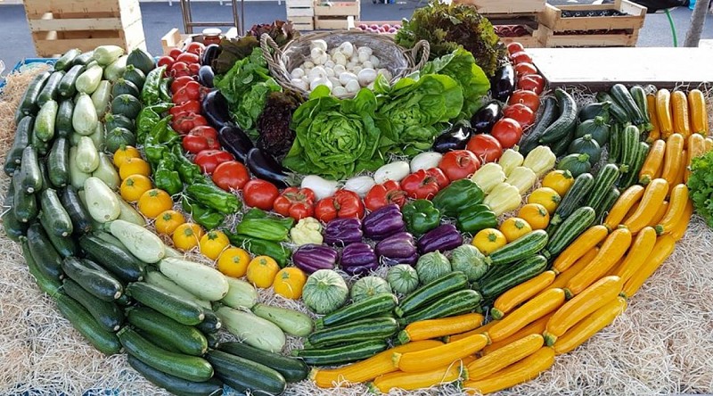 jardin-puymasson-mise-en-place-2