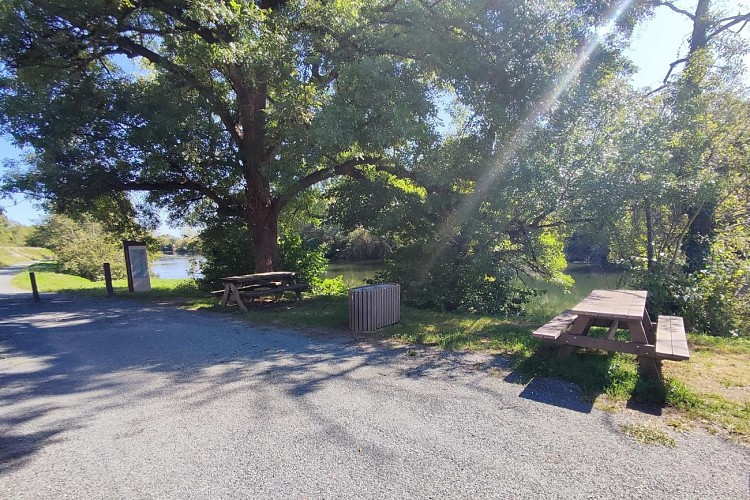 IMG_20230920_125844 2