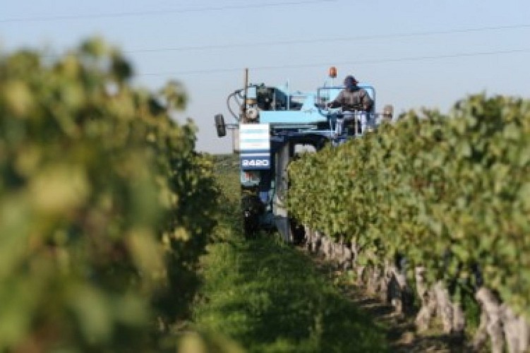 Domaine Caroll de Bellel