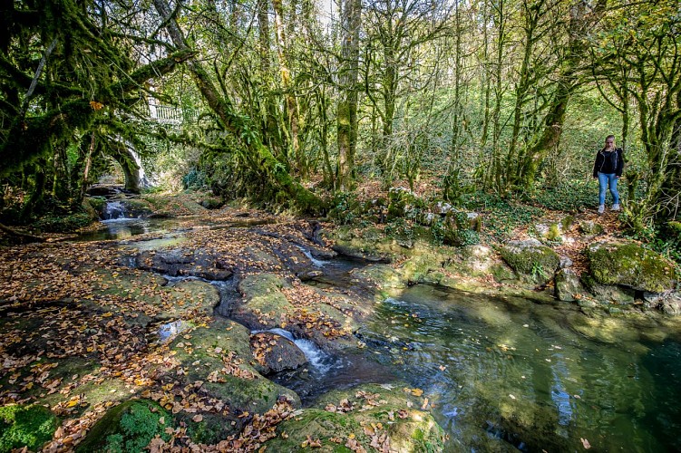 Höhle und Rückzugsgebiet von Corveissiat, ENS de l'Ain