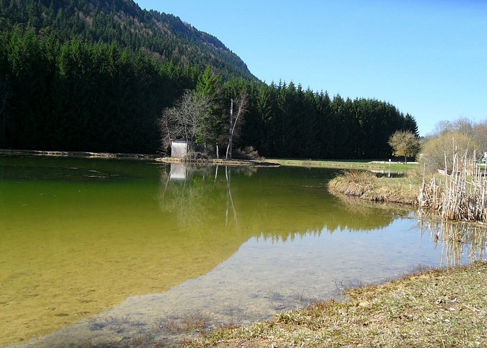 Le lac de Lalleyriat 