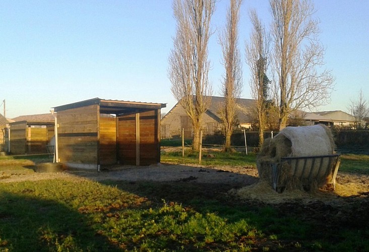 DOMAINE D'EPONA - CENTRE EQUESTRE