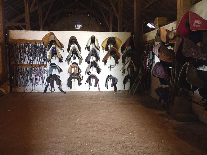 DOMAINE D'EPONA - CENTRE EQUESTRE